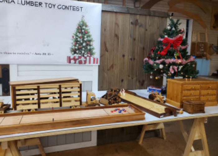 2002 Toy Contest